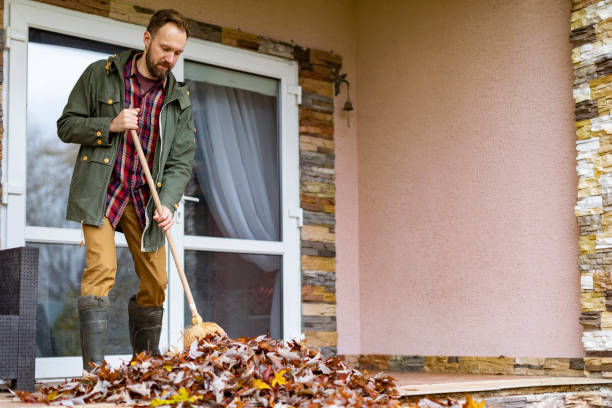 Best Attic Cleanout Services  in Lebanon, OH
